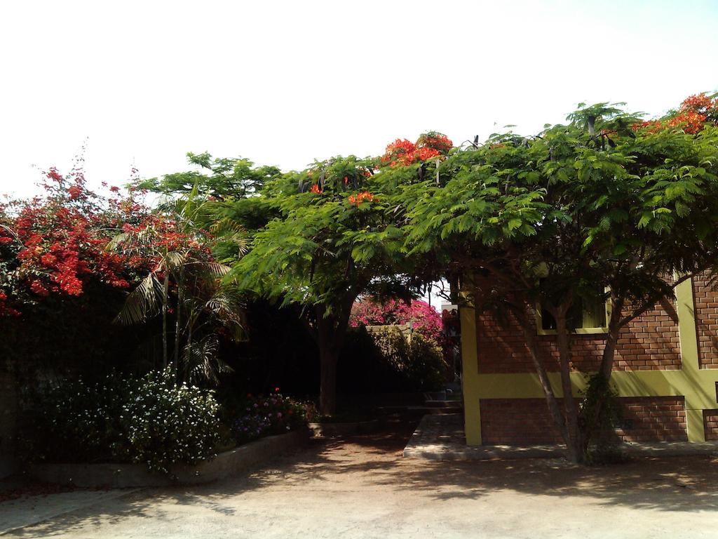 Huaranjapo Bed & Breakfast El Carmen Bagian luar foto